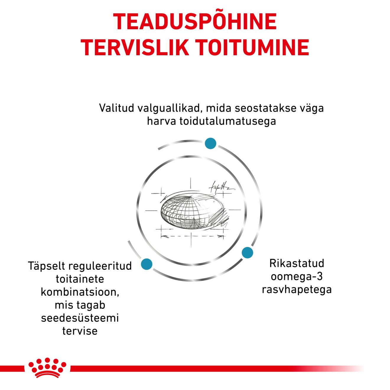 Royal Canin Sensitivity Control Cat kuivtoit