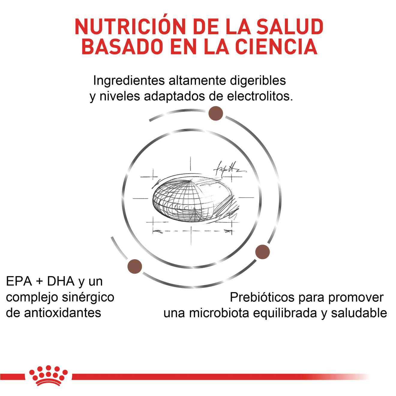 Gastrointestinal Moderate Calorie