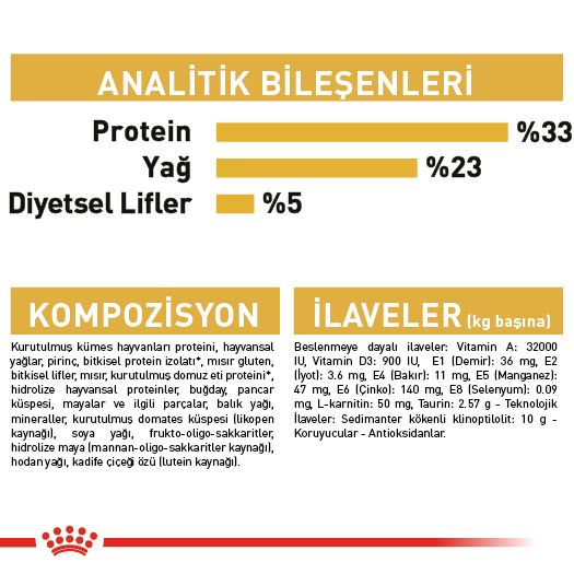 Sphynx Adult Yetişkin Kedi Kuru Maması