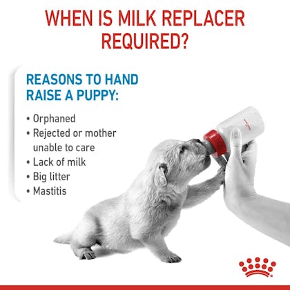 SOL MILK 23 – Babydog Milk 400g – Powder – Hero Image – CV2