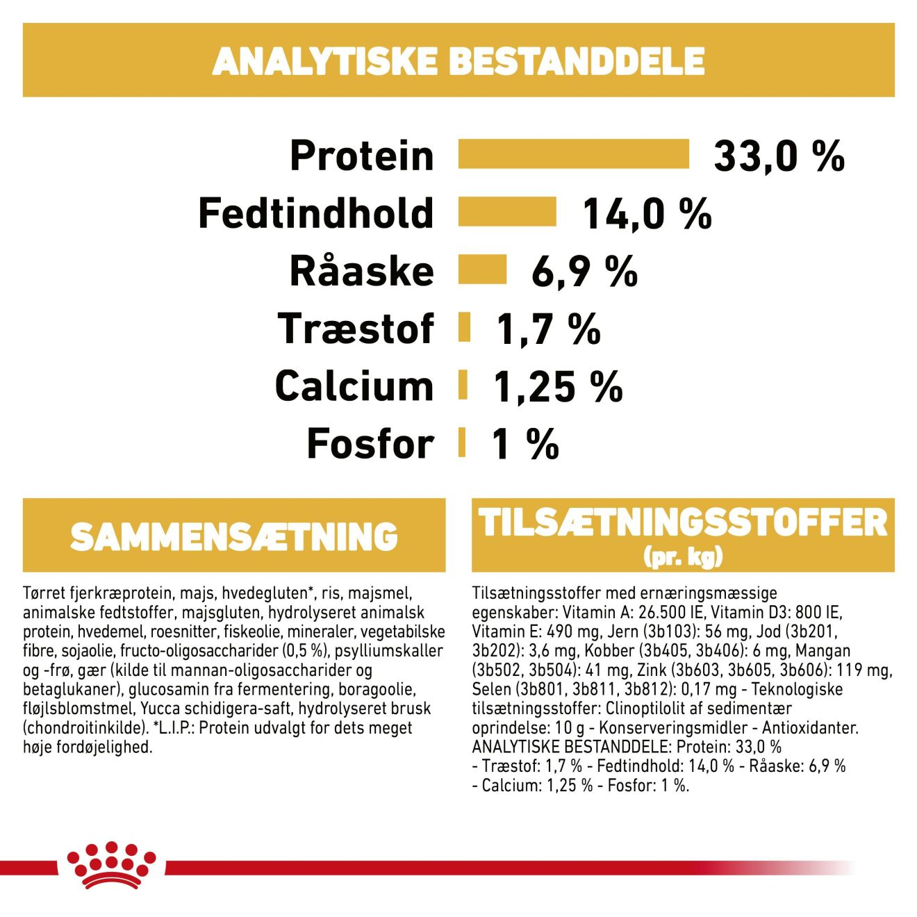 Labrador Retriever Puppy