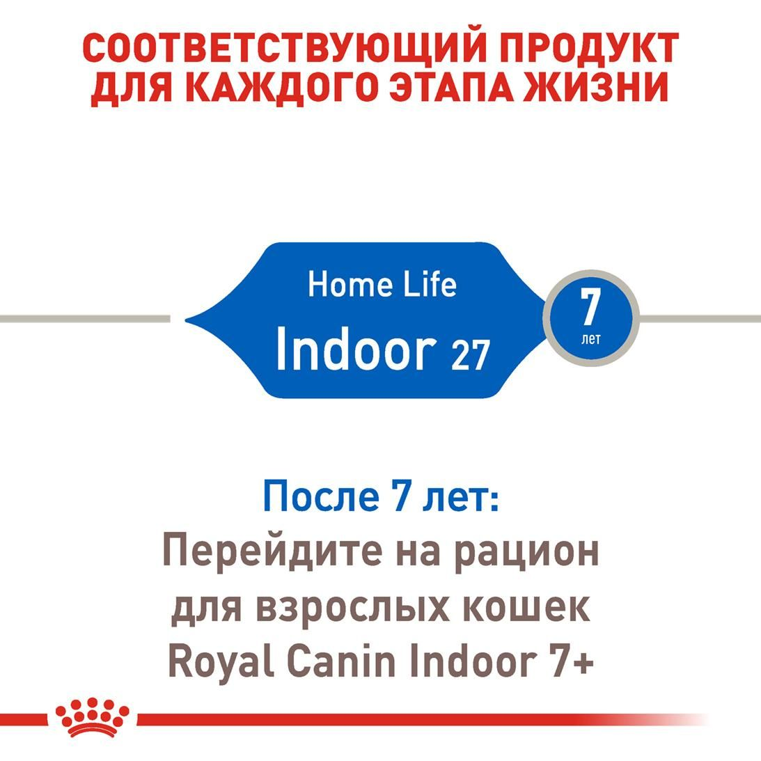 Indoor 27