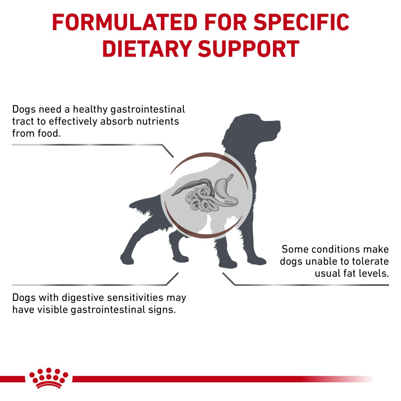 Veterinary Concept for Life Diet Gastrointestinal 4kg Therapeutic Dry Food  Increased Electrolyte Content Low-fat Easy to Digest ingredients.Suitable