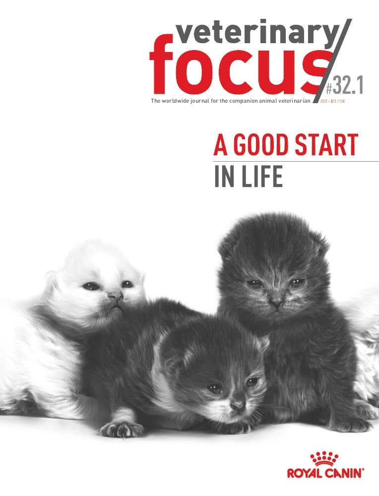 Issue 32.1 A good start in life