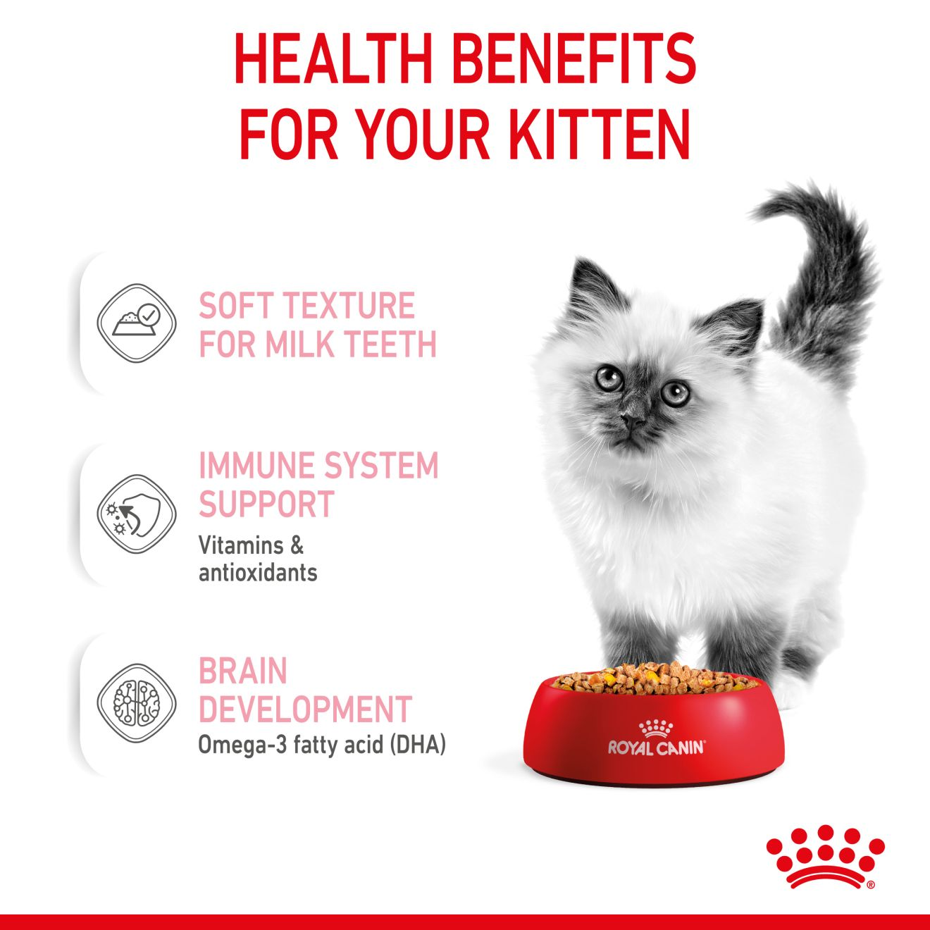 Kitten Chunks In Jelly Cat Food Royal Canin Shop Royal Canin UK