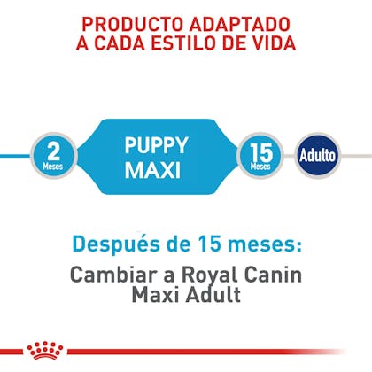 MAXI PUPPY COLOMBIA 3