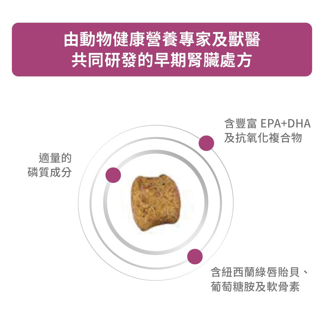 成貓早期腎臟處方