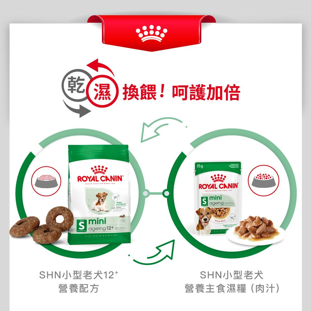 SHN 小型老犬12+營養配方