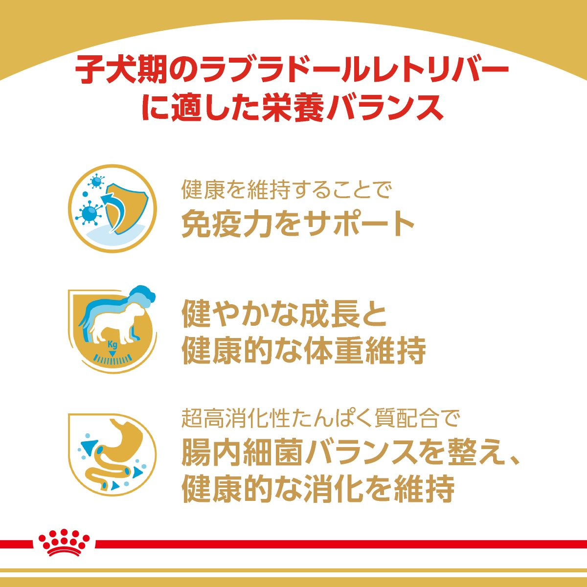  CANIN プロプラドールレトリバー13kg 送料無料 楽天市場】【送料無料】ロイヤルカナン ブリード ヘルス