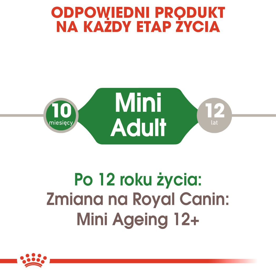 Mini Adult sos