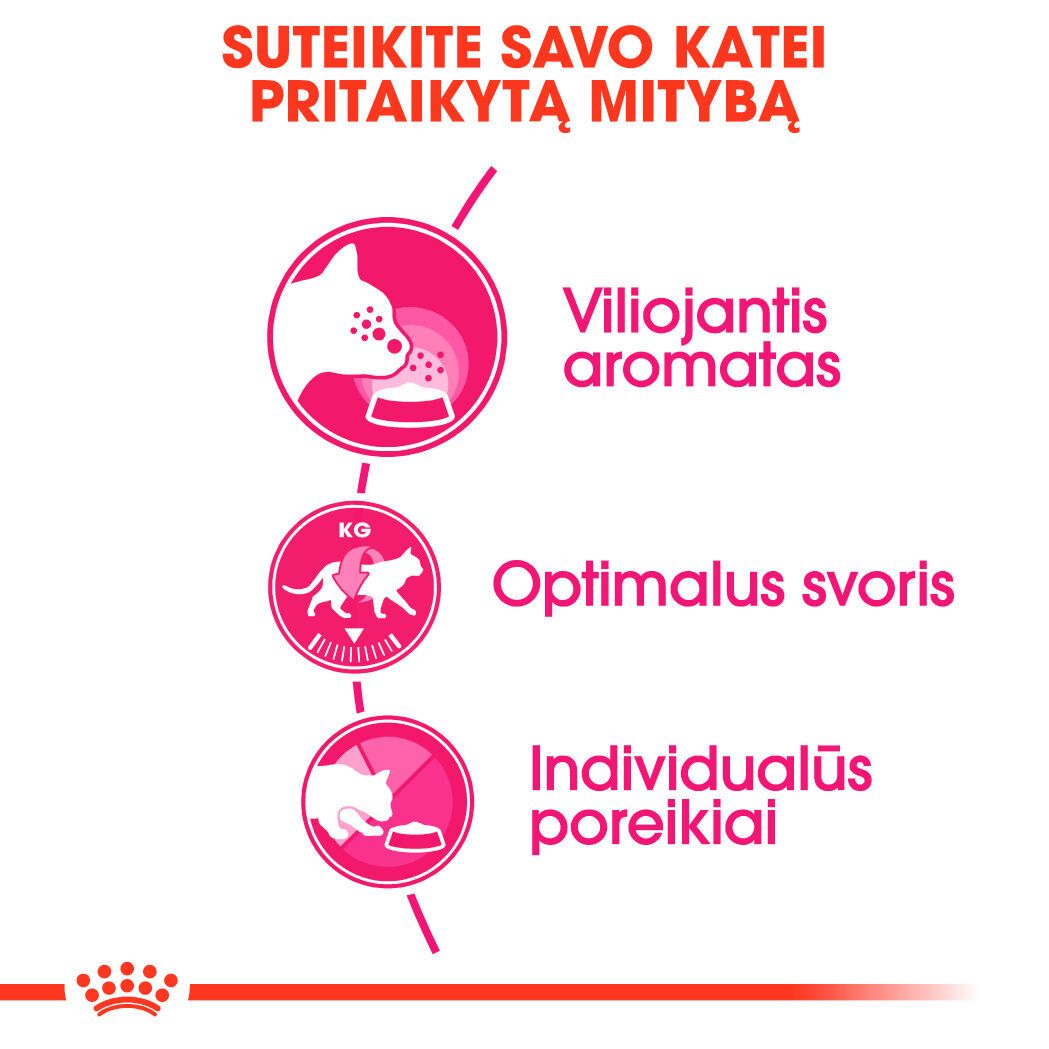 Aroma Exigent