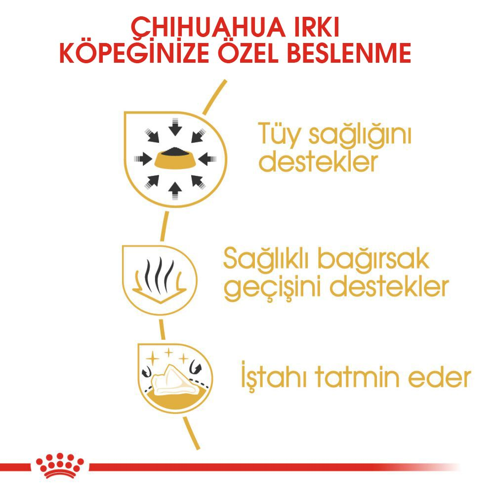 Chihuahua Yetişkin Köpek Yaş Maması