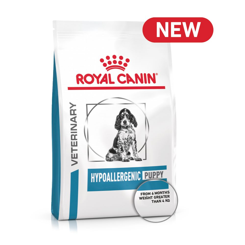 HYPOALLERGENIC PUPPY