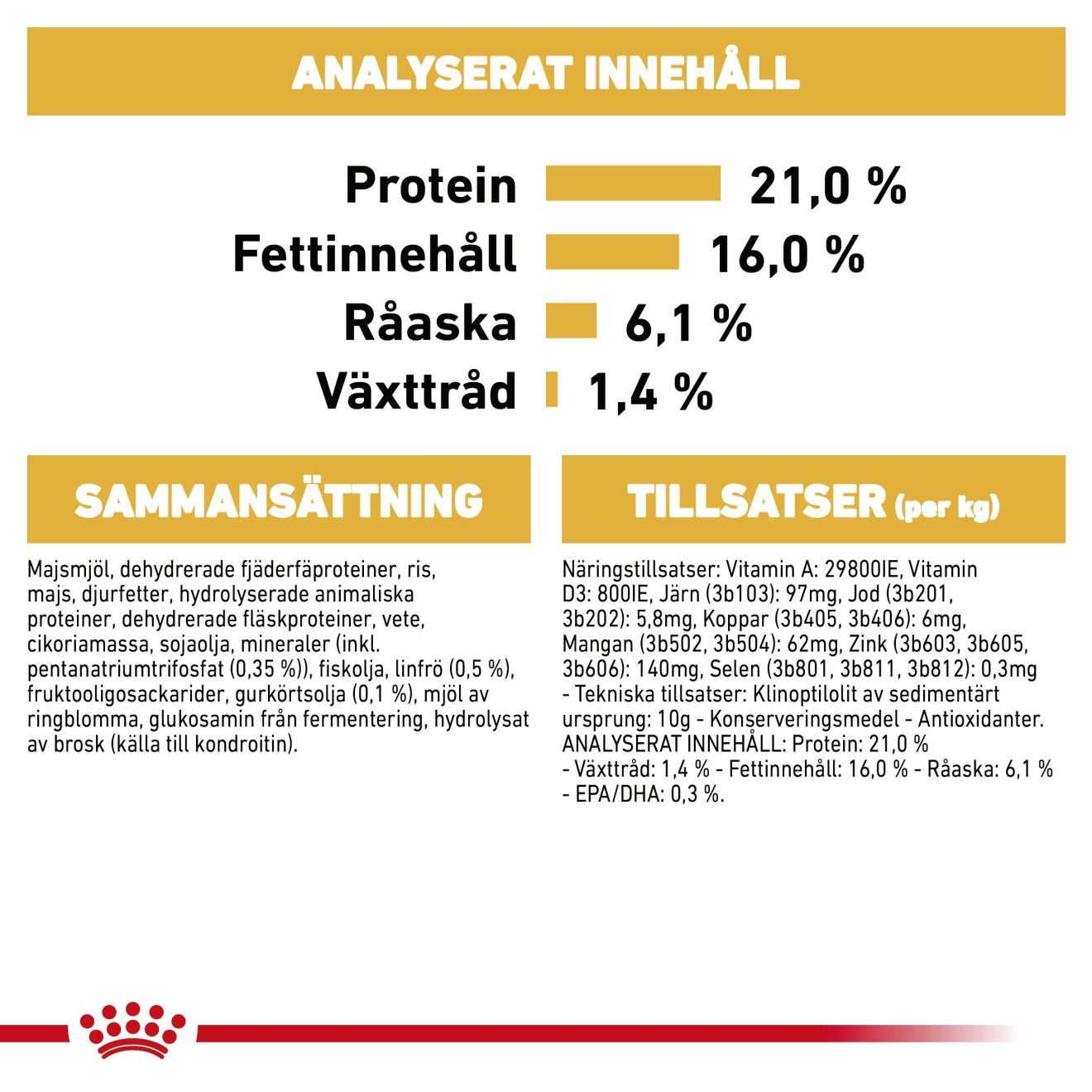 West Highland White Terrier Adult
