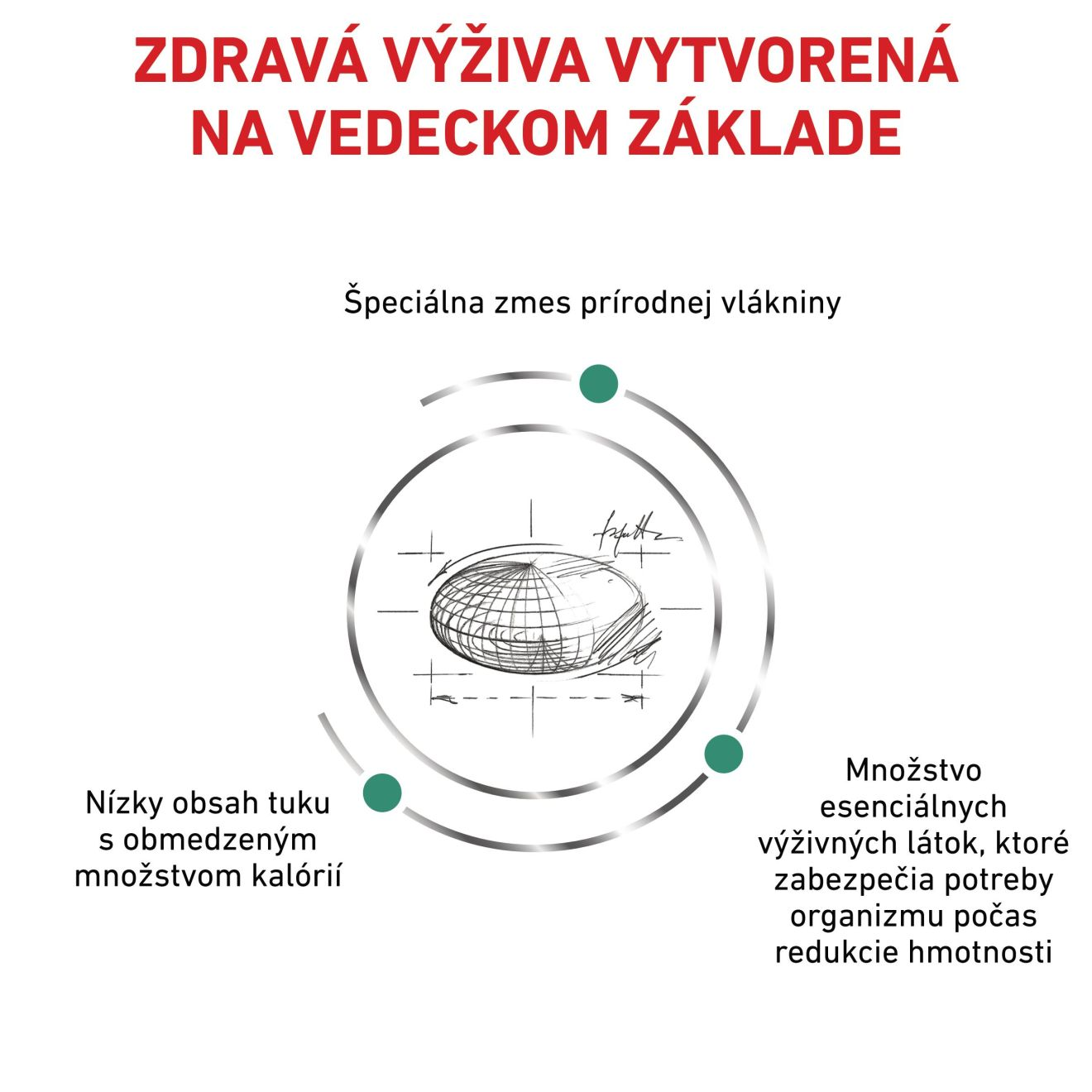 VHN Cat Satiety Weight Management