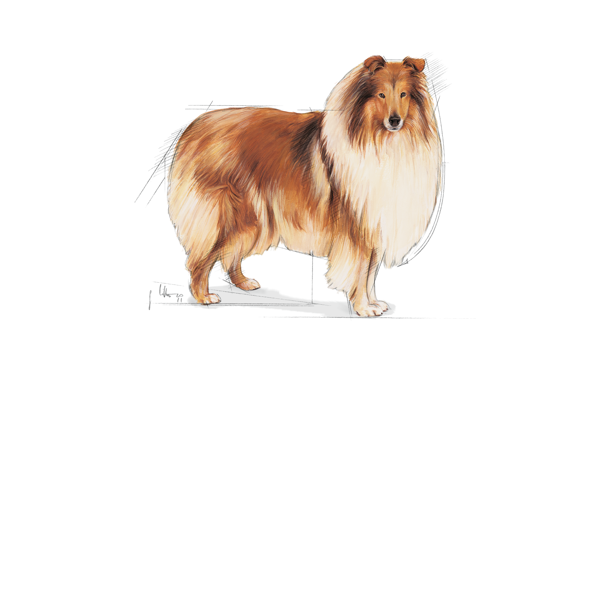 Maxi Light Weight Care