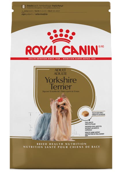 Yorkshire_Terrier_1