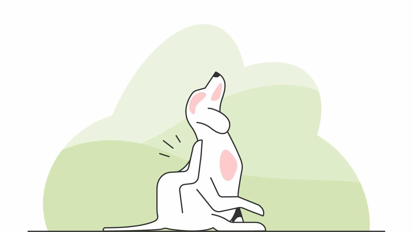 Illustration of a dog scratching