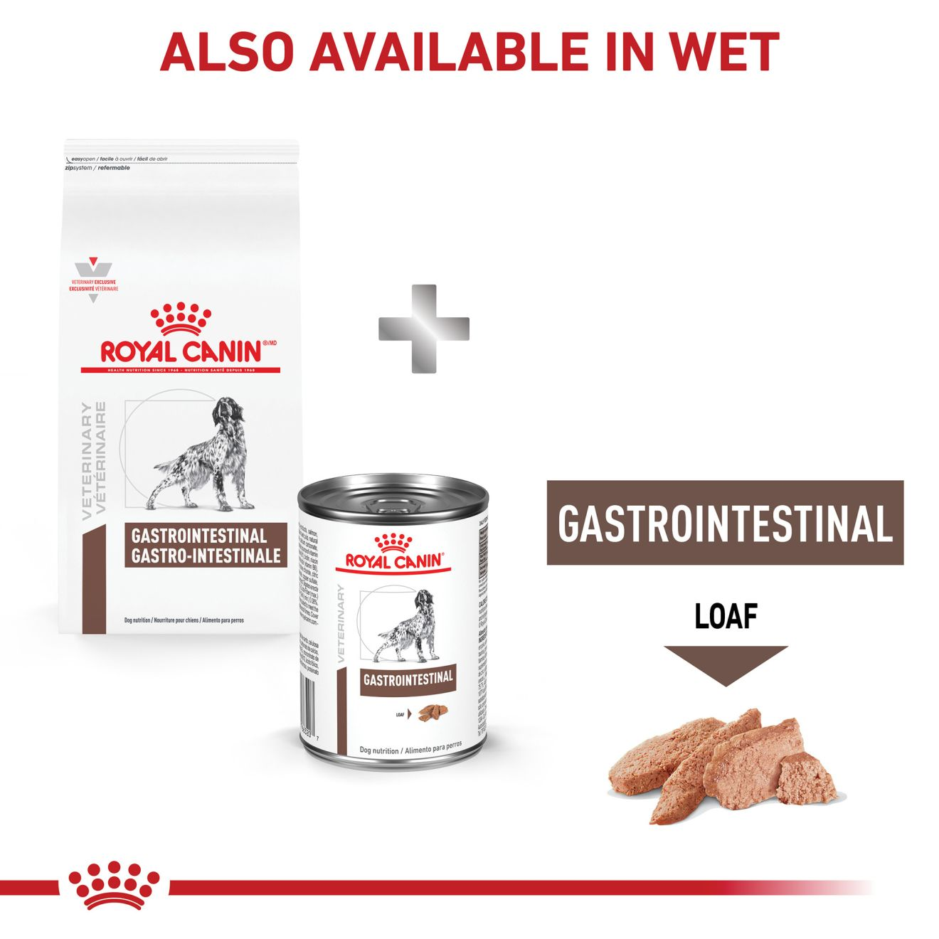 Gastro high outlet energy royal canin