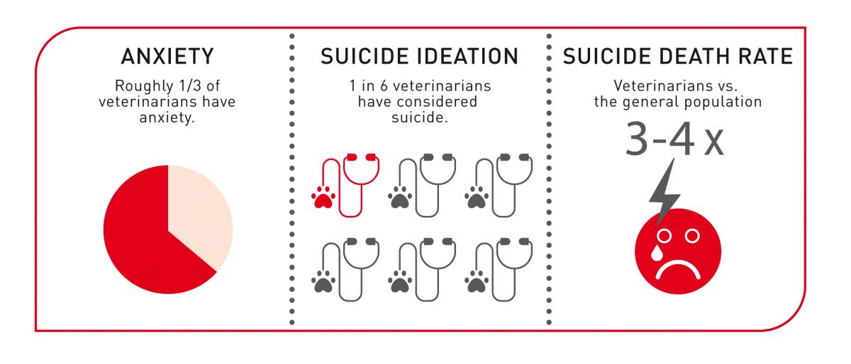 Втома від співчуття — причина сильного психологічного тиску, якого зазнають ветеринарні лікарі, й один з чинників, що впливають на приголомшливу статистику в цій професії