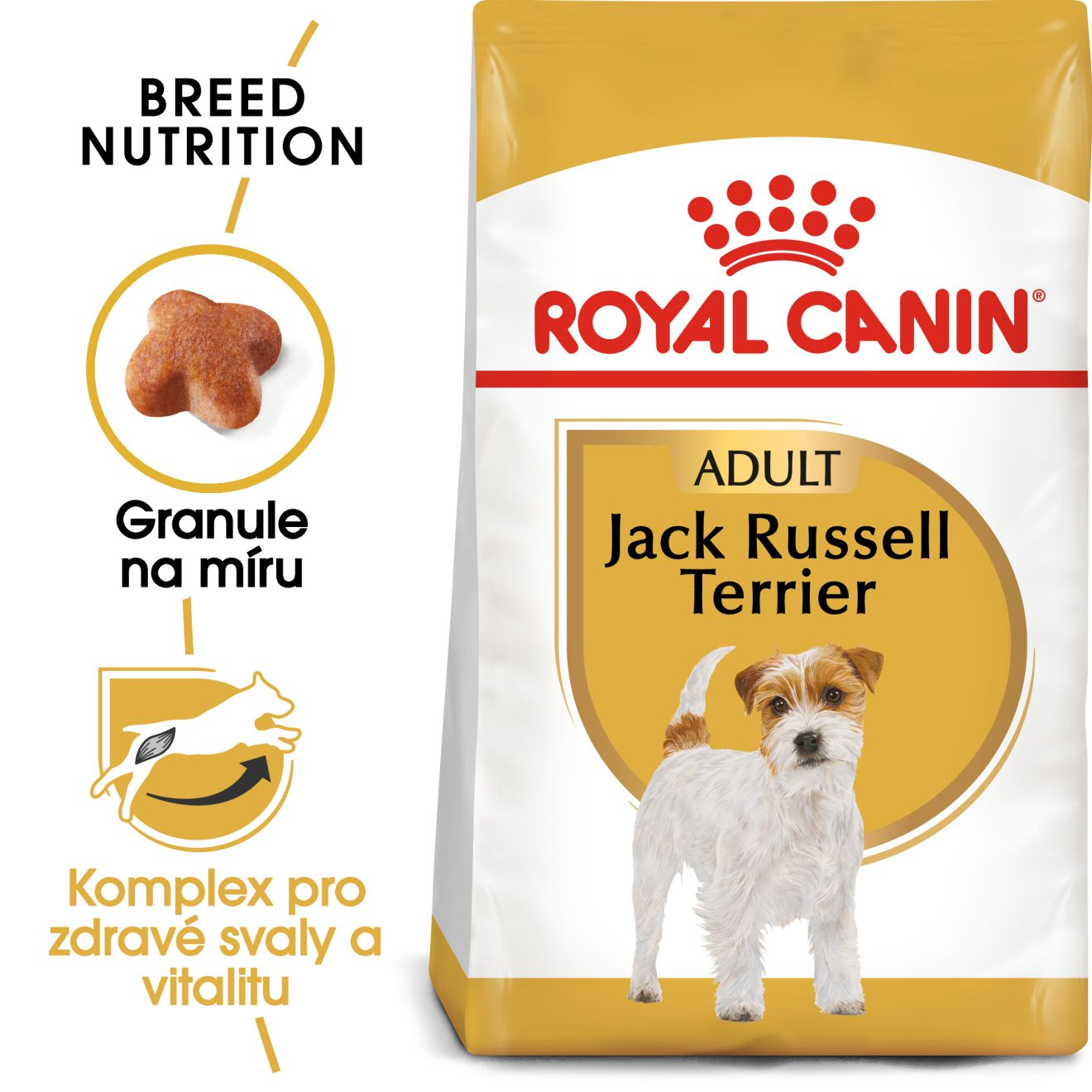 JACK RUSSELL Adult