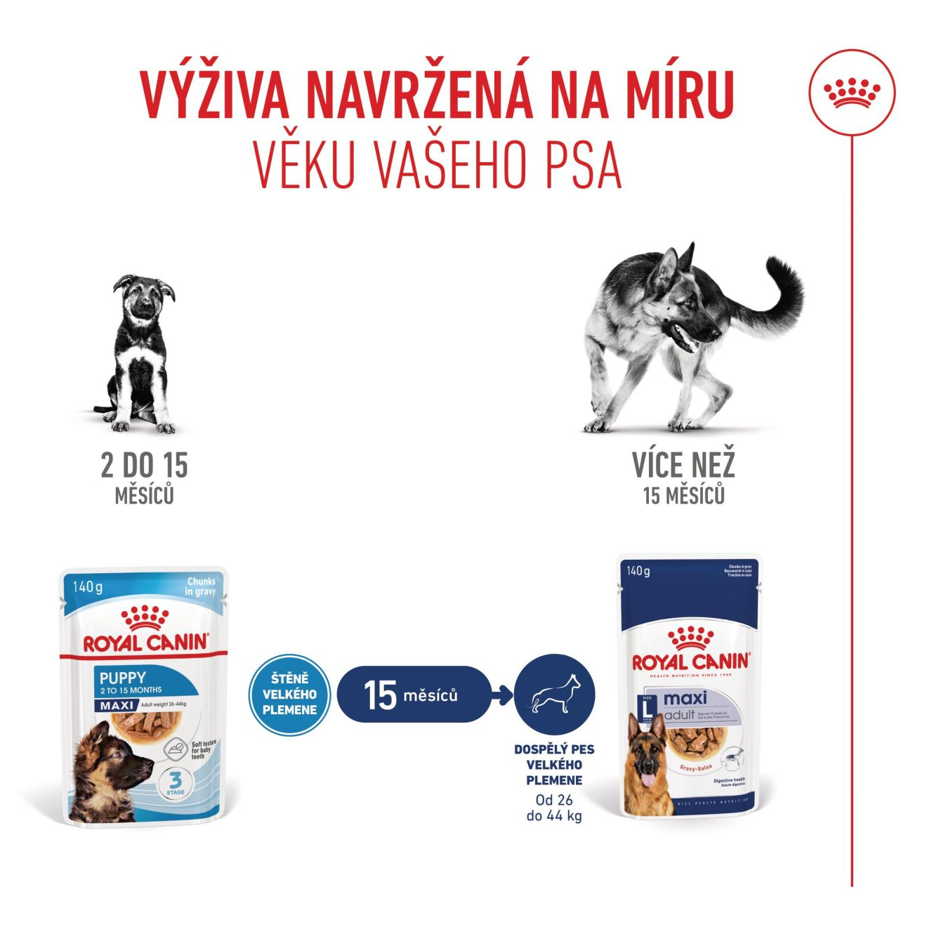 MAXI  PUPPY kousky ve šťávě
