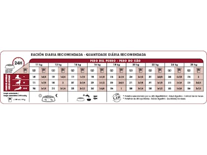 AR-L-Tabla-Racionamiento-Medium-Adult-Size-Health-Nutrition-Seco