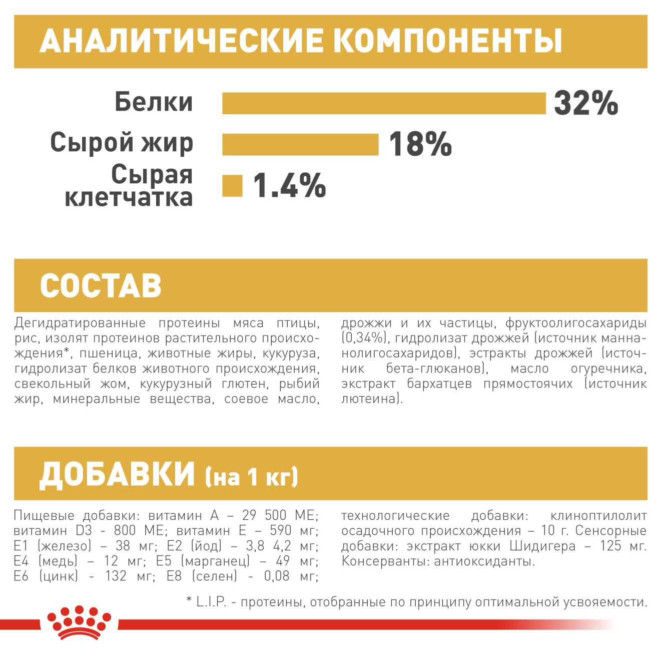 Jack Russell Terrier Puppy