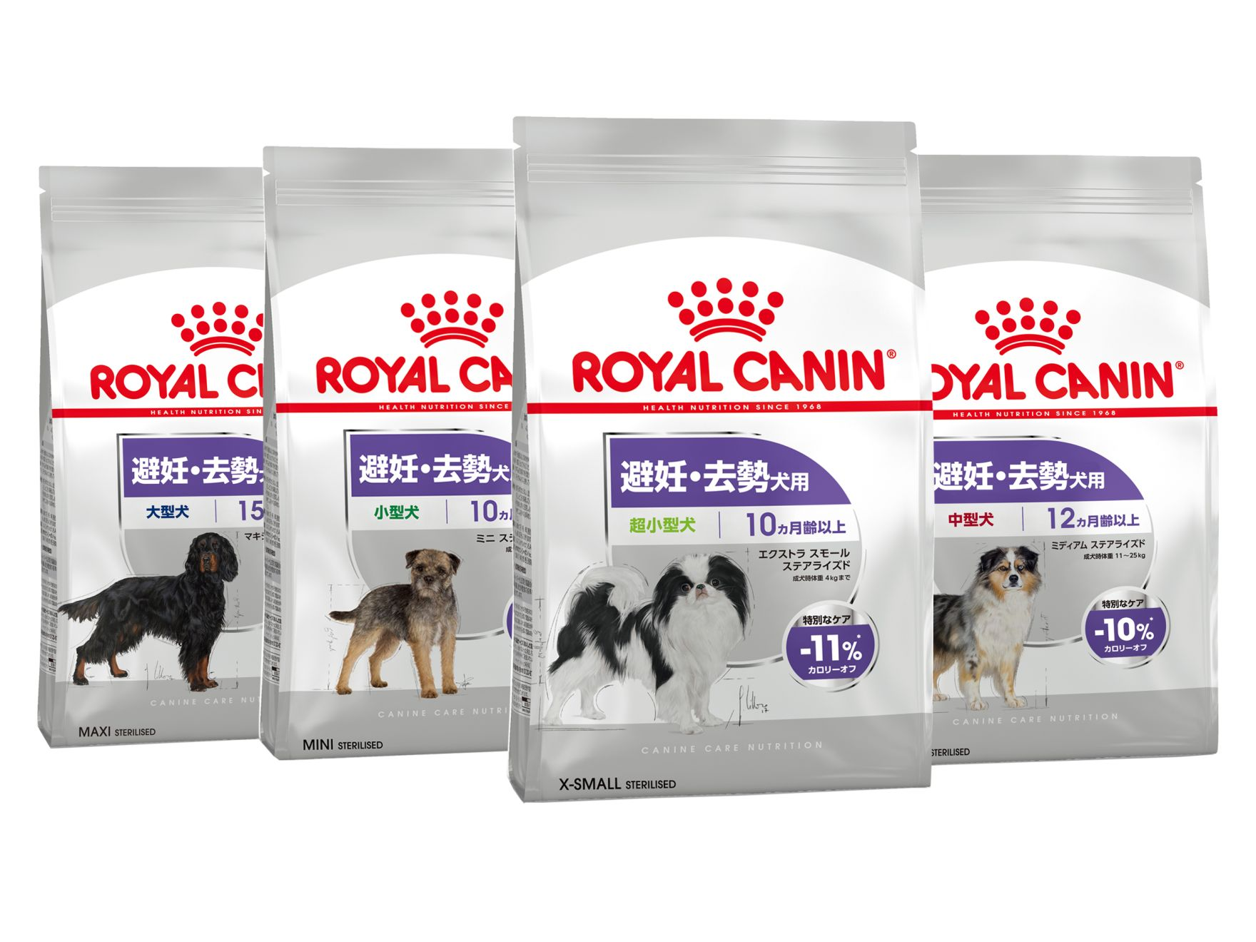 ロイヤルカナン ミニステアライズド 小型犬 8kg 10ヶ月齢以上