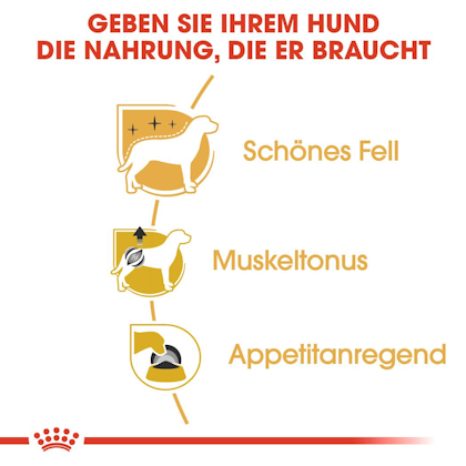 RC-BHN-Wet-Poodle-Feuchtnahrung_Vorteile_DE