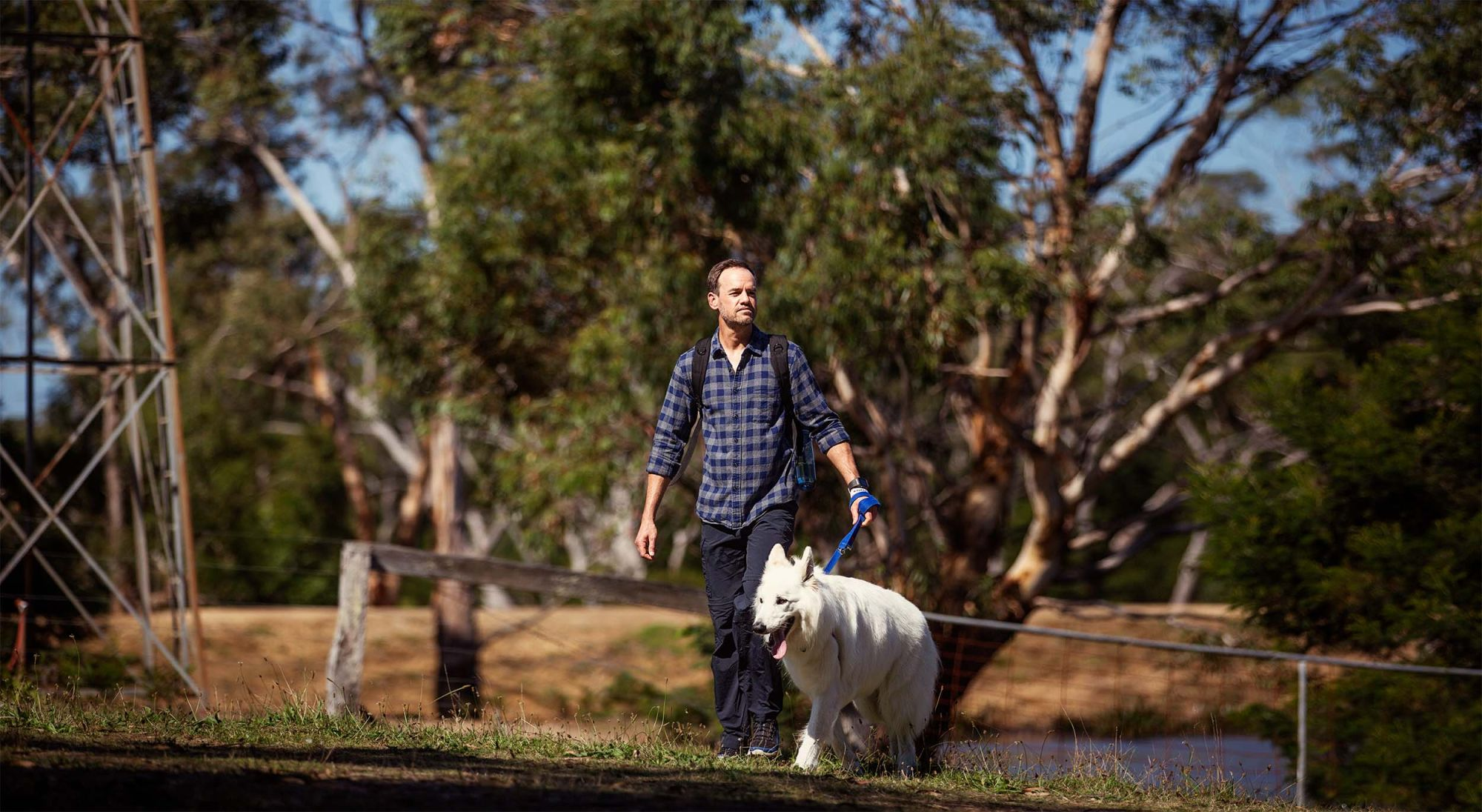 are dogs allowed in australian national parks