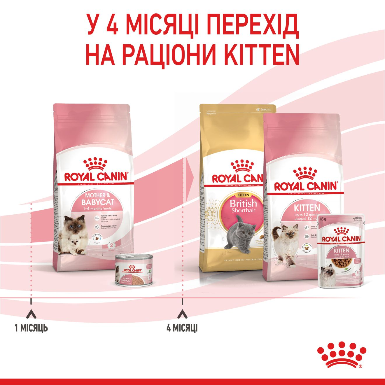 MOTHER & BABYCAT Ultra soft mousse