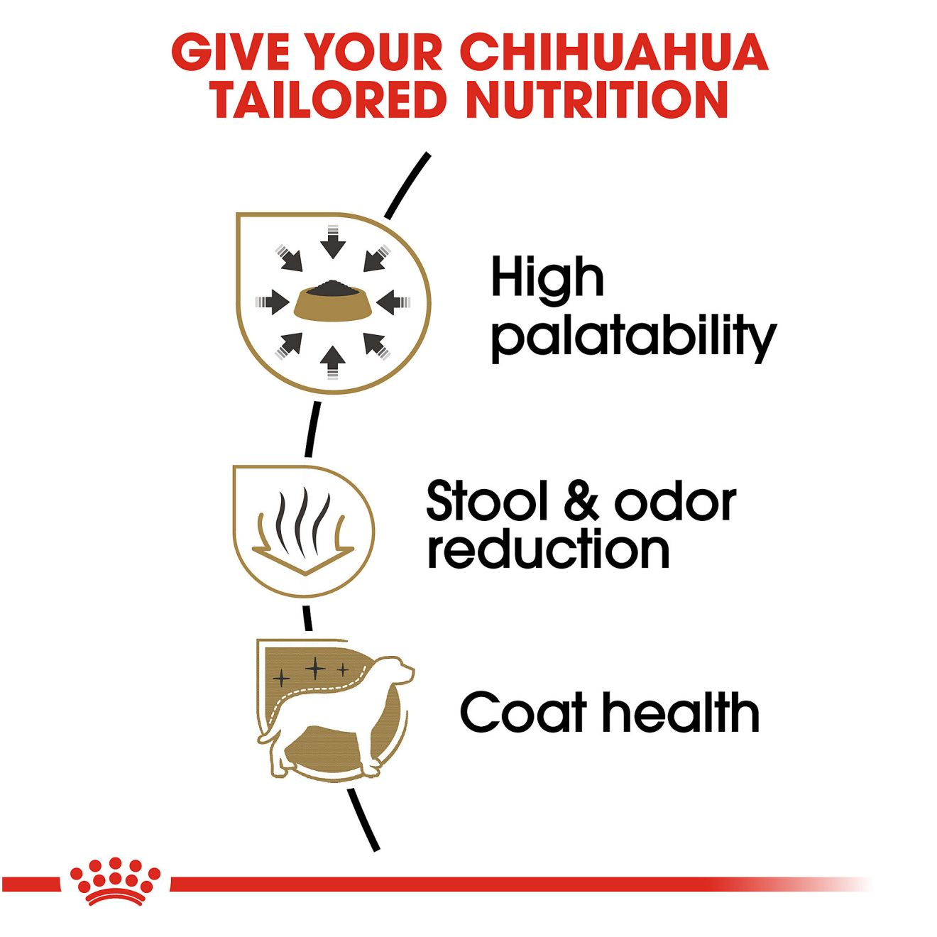 Chihuahua Adult Dry Dog Food