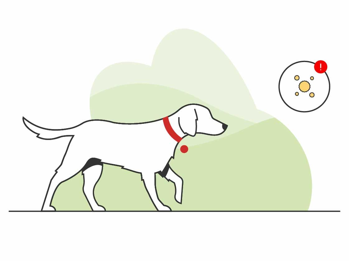 Illustration of a dog walking with an environmental allergy