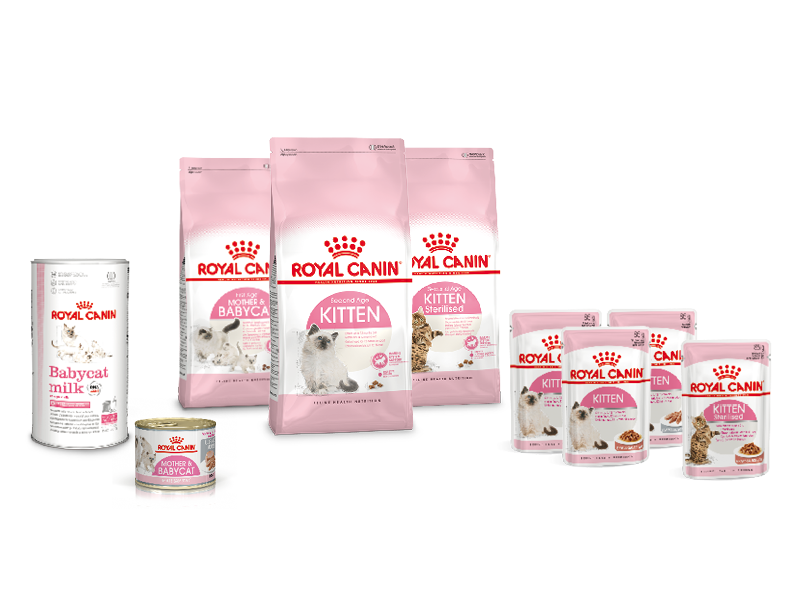 Корм Royal Canin для котят
