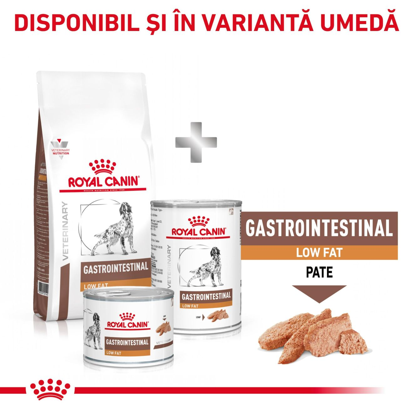 GASTROINTESTINAL LOW FAT