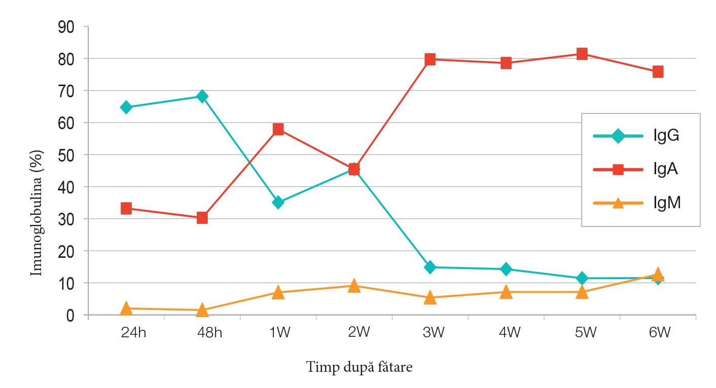 Figura 1. Nivelurile de imunoglobuline din colostru și lapte; IgG, IgA și IgM au fost înregistrate din secrețiile mamare a șase femele din rasa Rottweiler 
