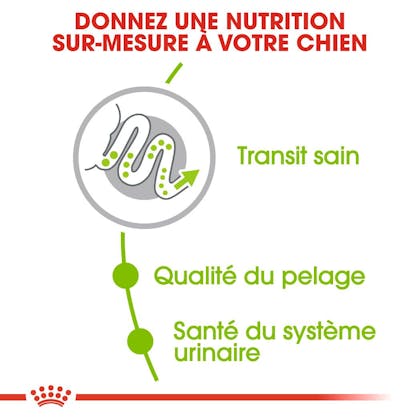 RC-SHN-AdultXSmall-CV-EretailKit-2-fr_FR
