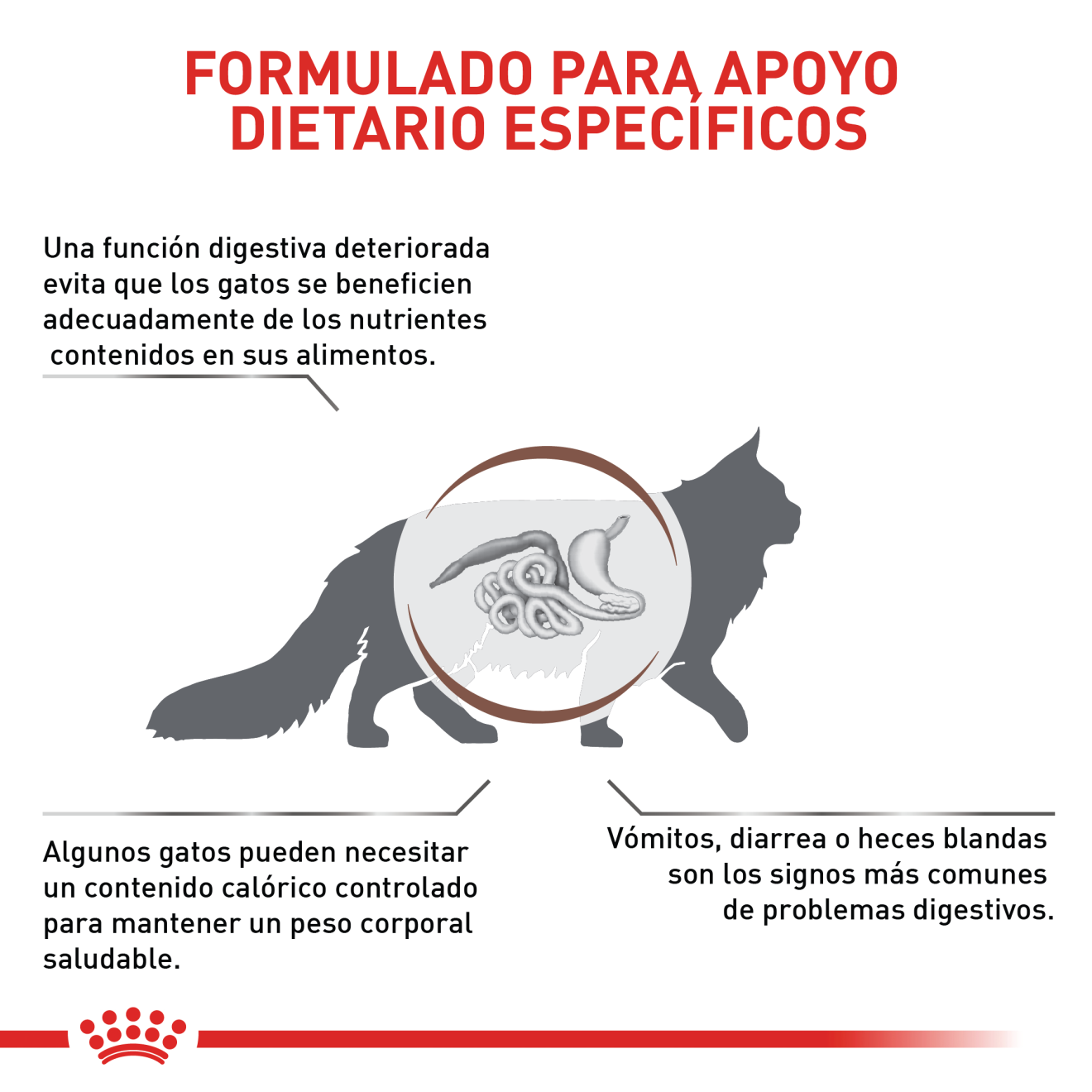 Gastrointestinal Moderate Calorie | Royal Canin CO