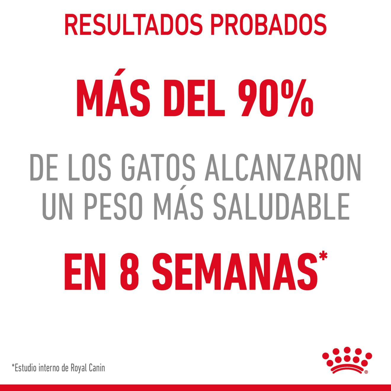 Light Weight Care Finas láminas en salsa