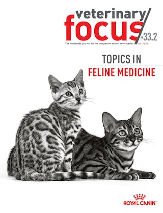 Topics in feline medicine