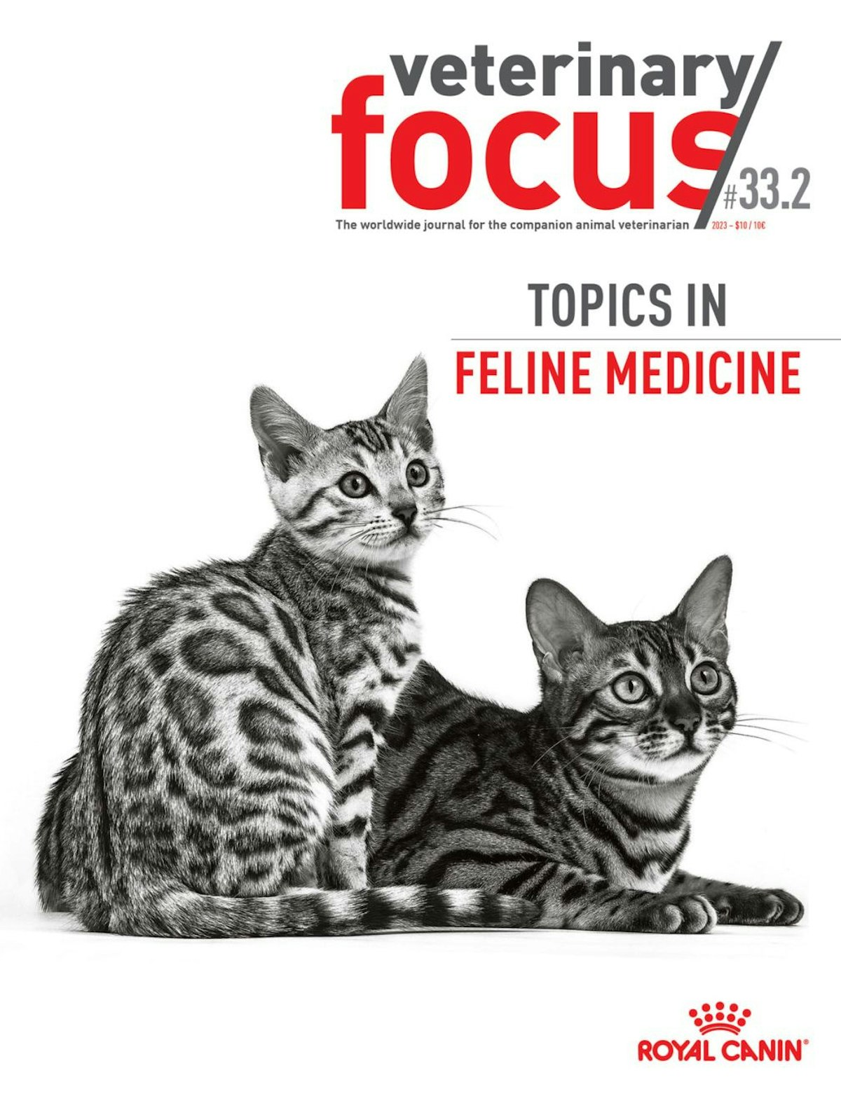 Topics in feline medicine