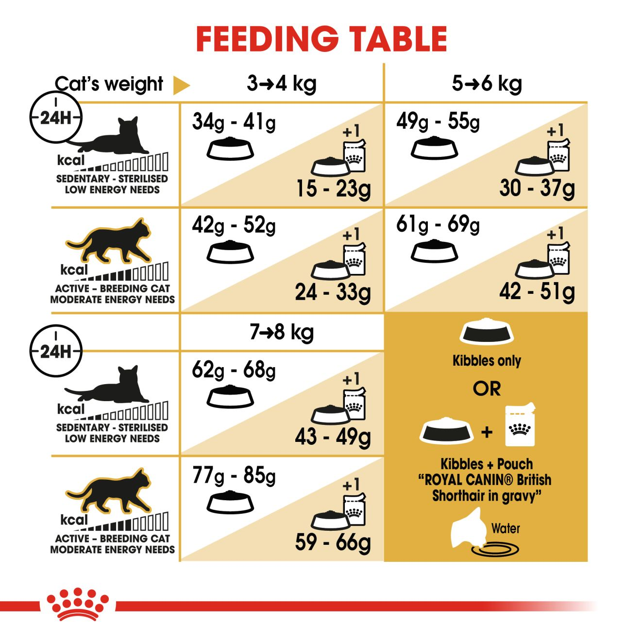 British shorthair kitten clearance weight