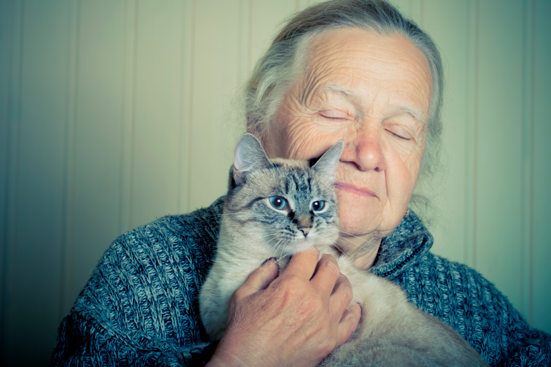 Physical changes associated with aging occur in both humans and cats; in people, alterations to the skin are perhaps the most obvious sign.© Shutterstock