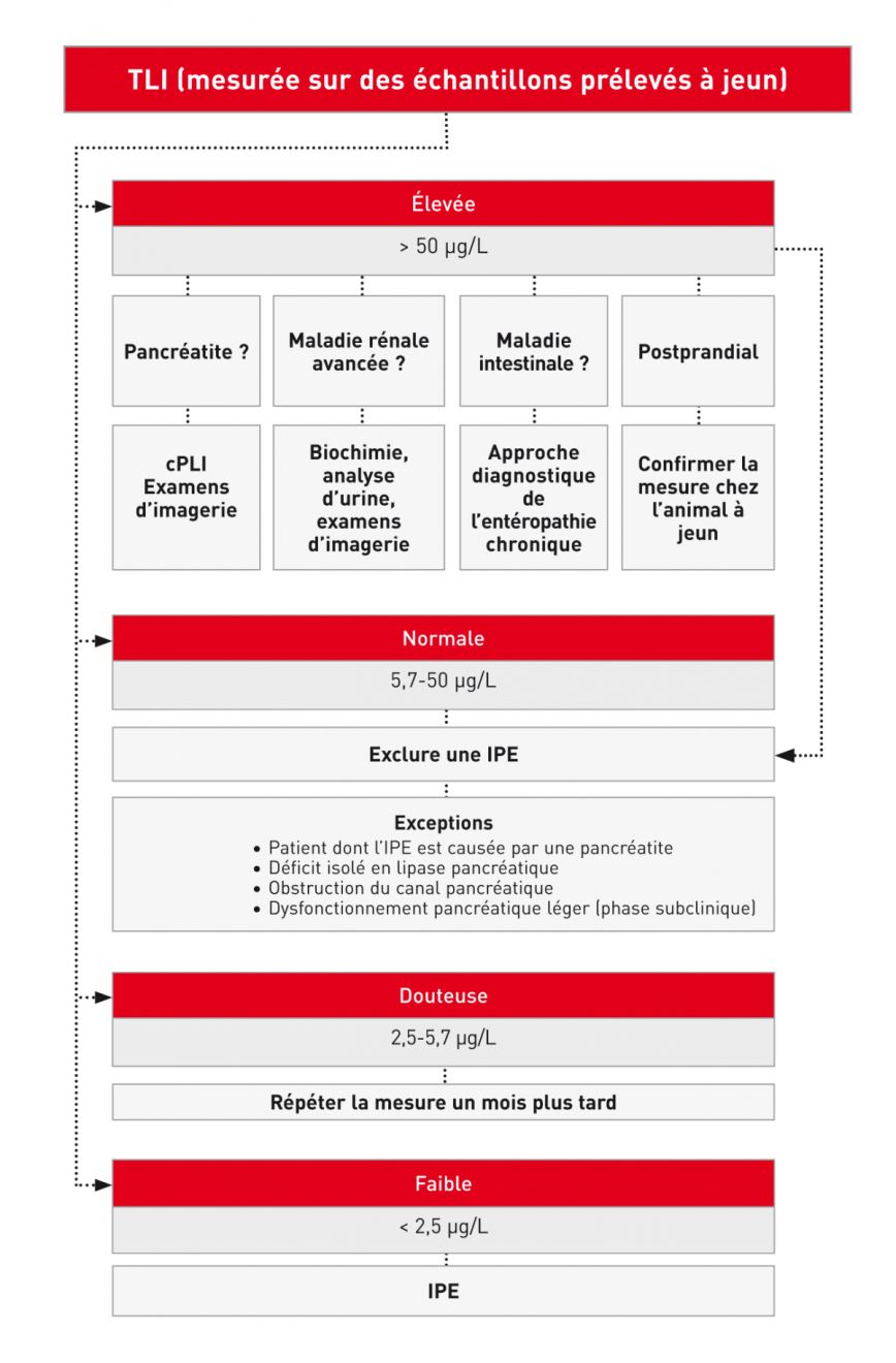Interprétation des valeurs sériques de la cTLI (immunoréactivité de la trypsine-like).