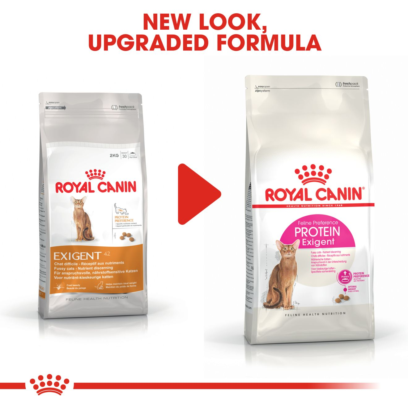 Protein exigent Royal Canin AE