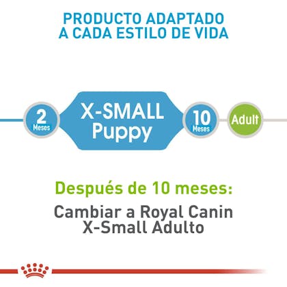 SHN X-Small Puppy Colombia 3
