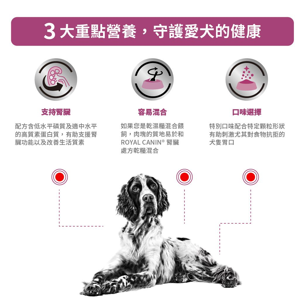 成犬腎臟處方袋裝濕糧（肉汁）