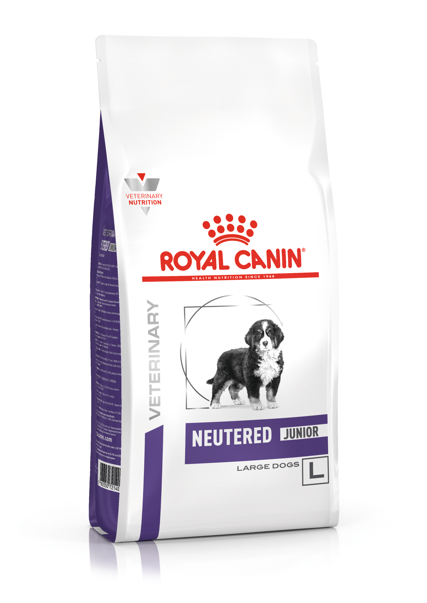 Neutered royal 2025 canin dog