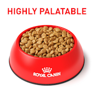 Canine Gastrointestinal Royal Canin US